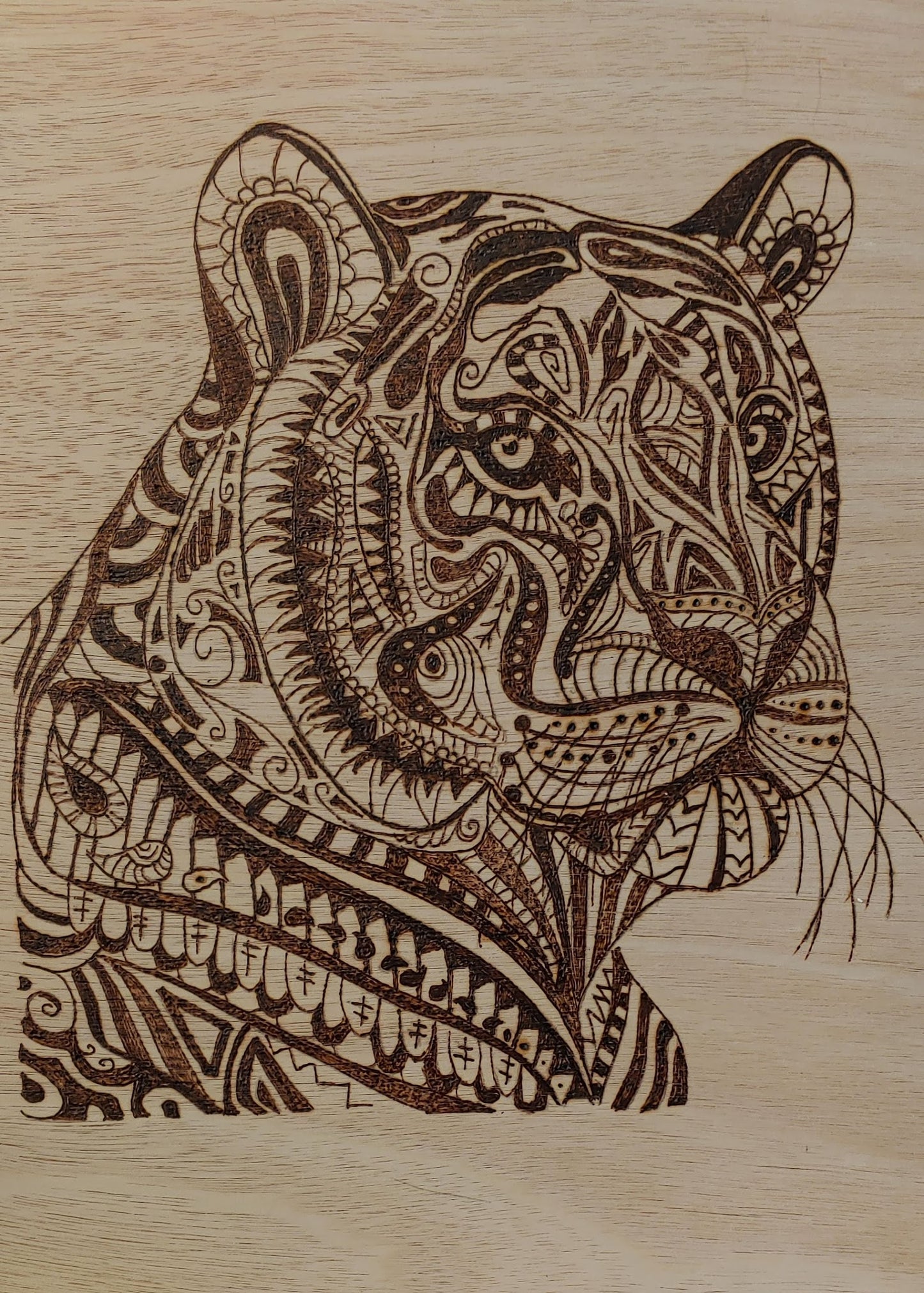 Big cat