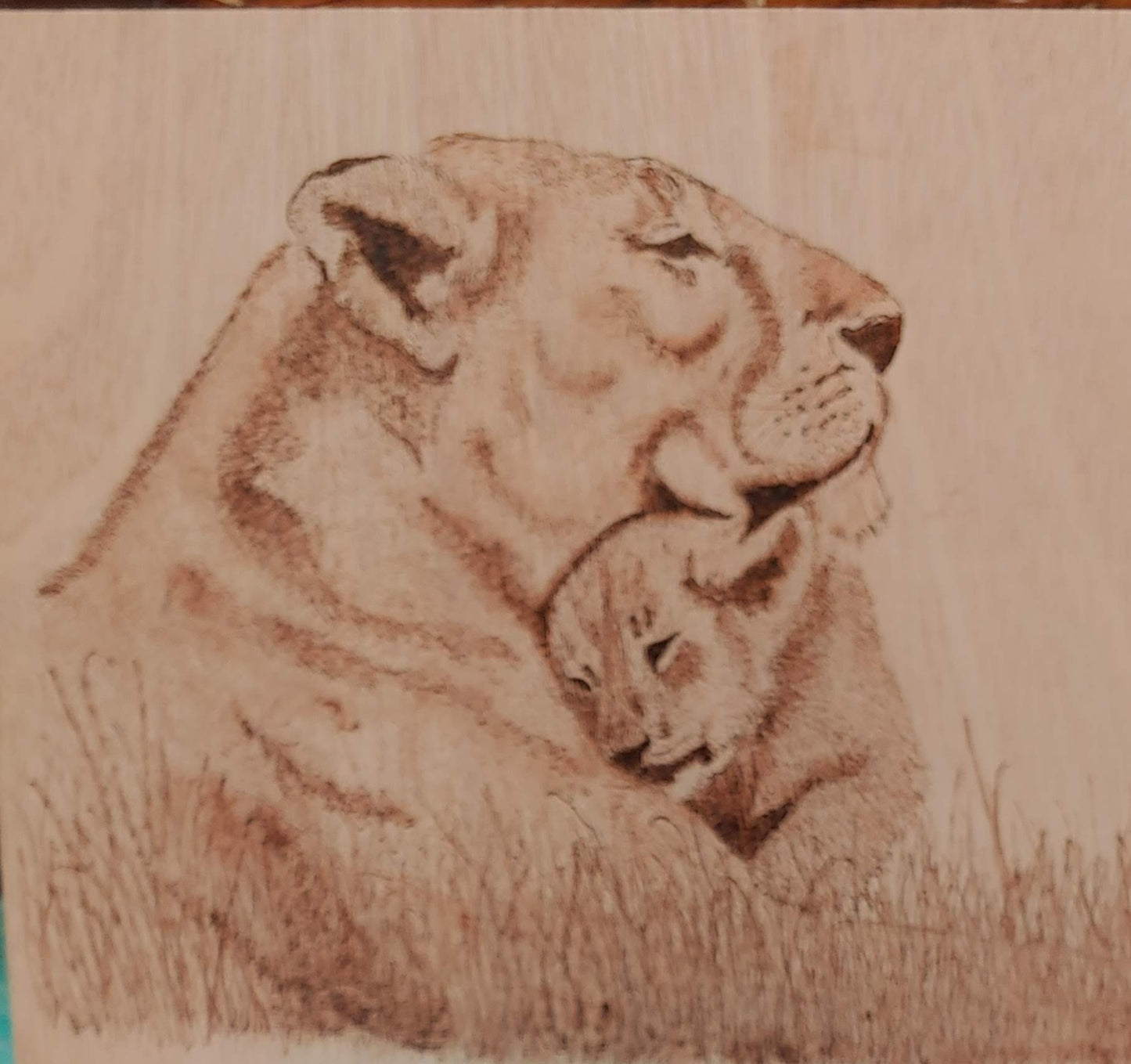 Lions