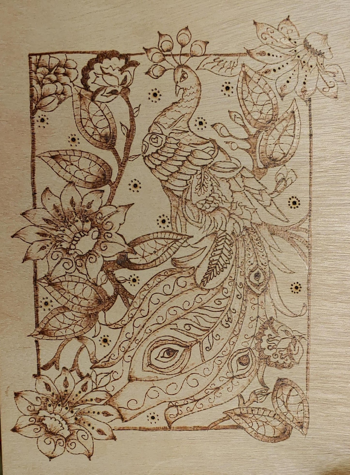 Peacock