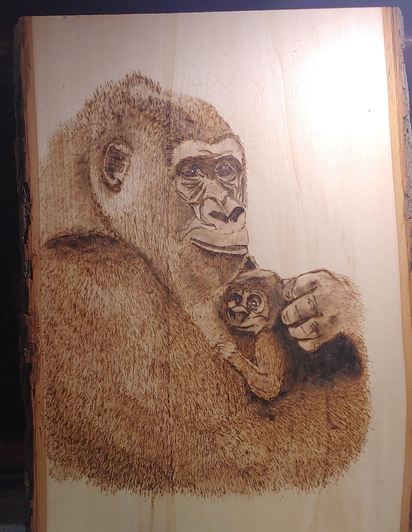 Gorillas