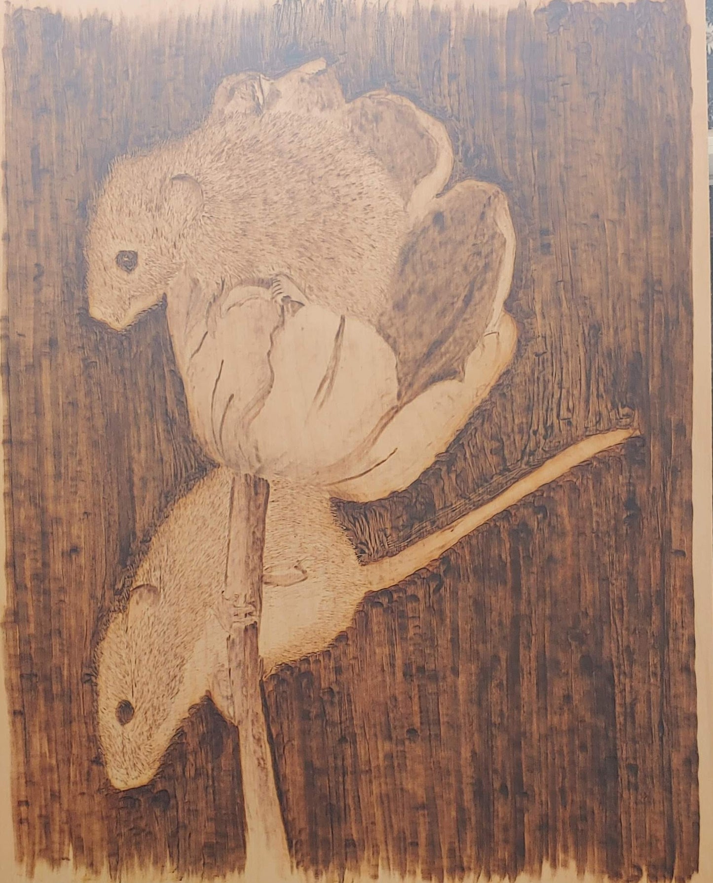 Tiny mice