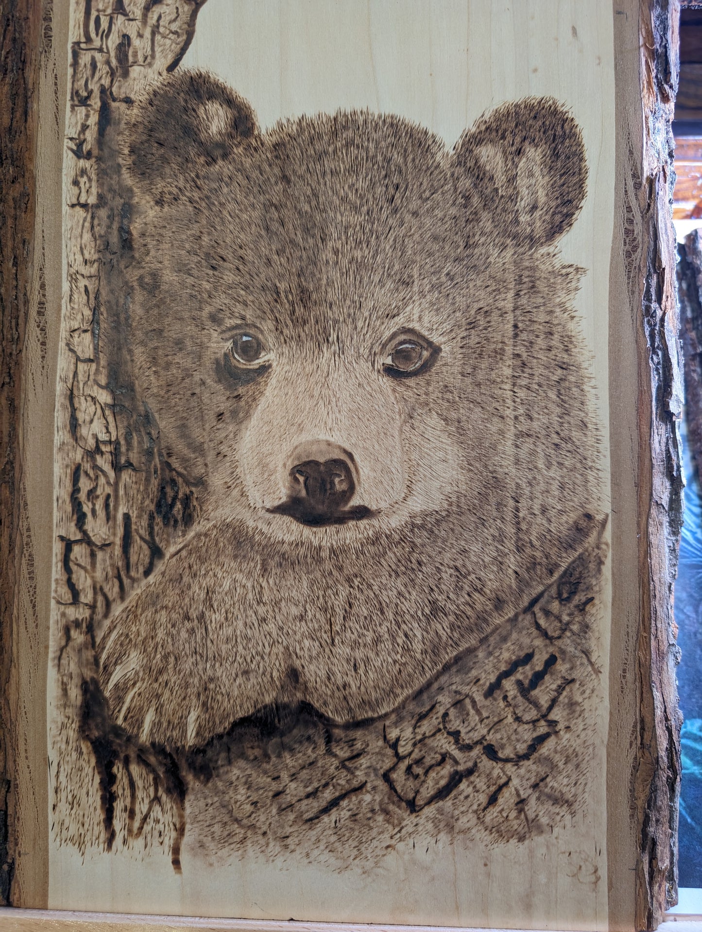 Baby bear