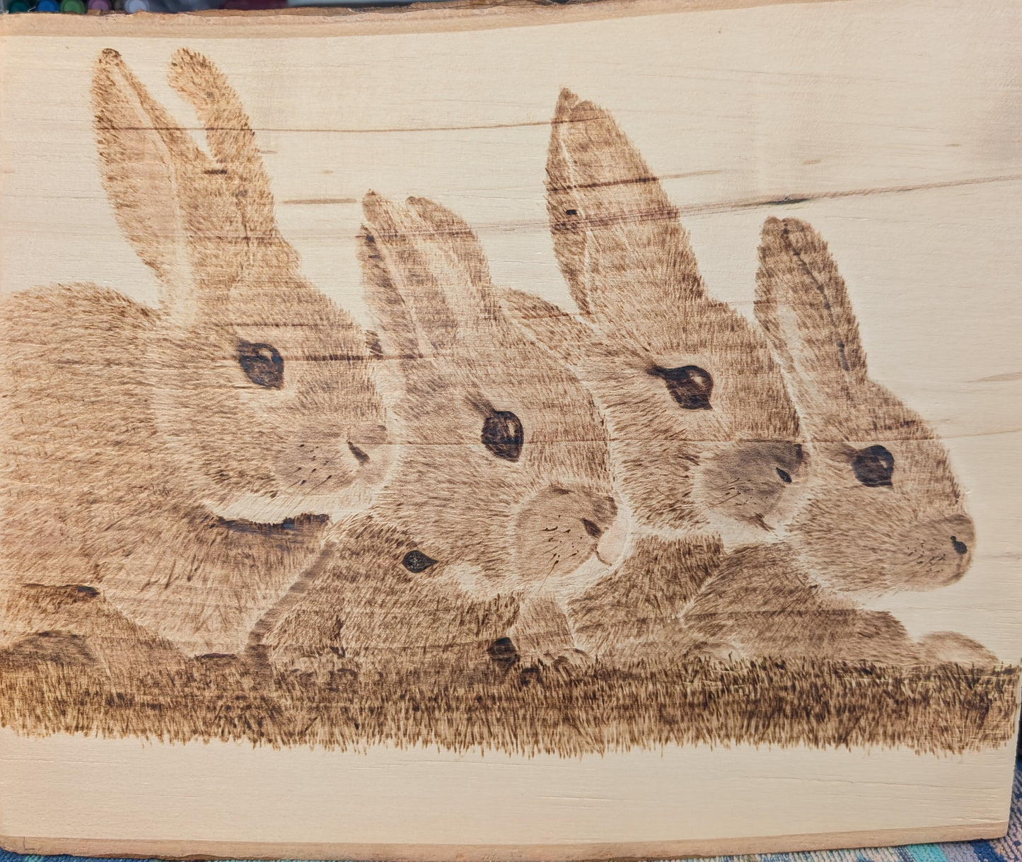 Bunnies