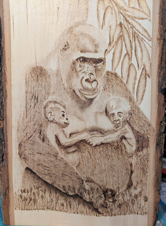 Gorillas