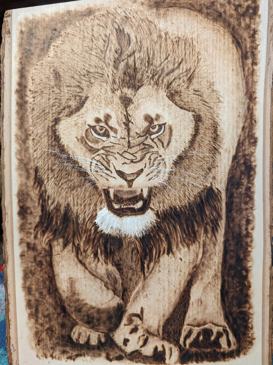 Fierce lion