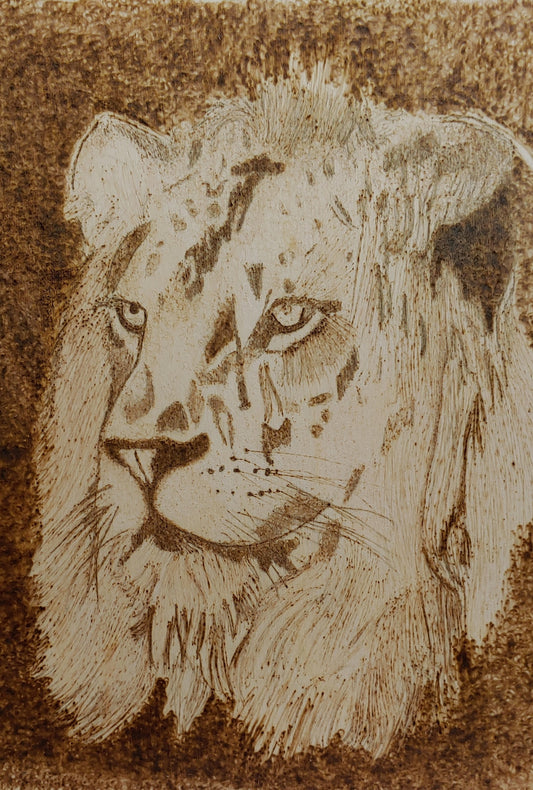 Proud Lion - Hand-Crafted Wood burning (Pyrography) on Birch or Basswood